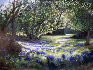 Bluebell Path - Robert Shaw